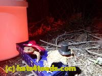 /home//u458753944/public_html/sourcegallery//Roxborough Toad Detour/2013-2019/2017/P4040676.JPG